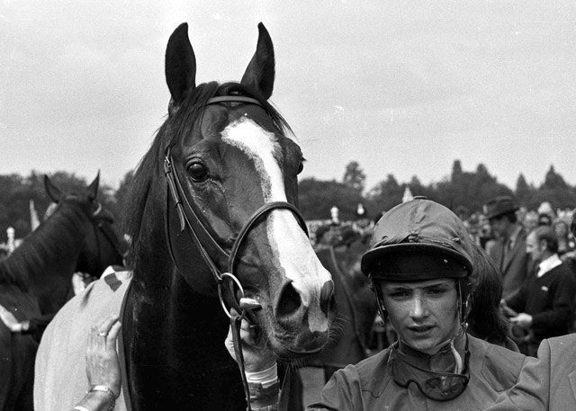 Shergar